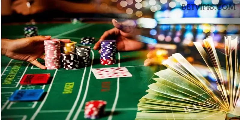 betvip Provedores Premium